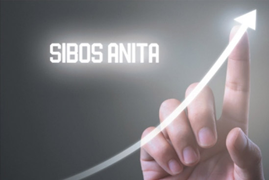 SIBOS电动执行器
