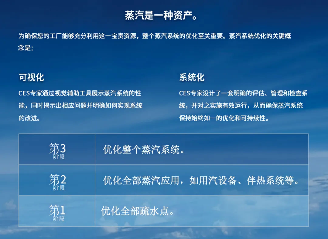 基于风险评估的蒸汽系统优化方案